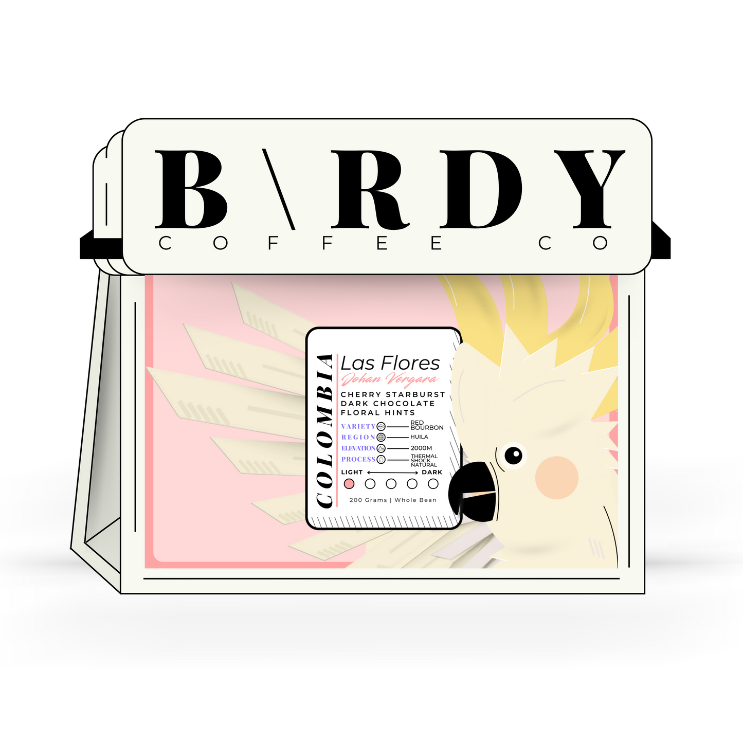 COLOMB\A | Las Flores x Johan Vergara