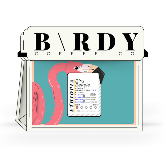 ETH\OPIA | Biru Bekele