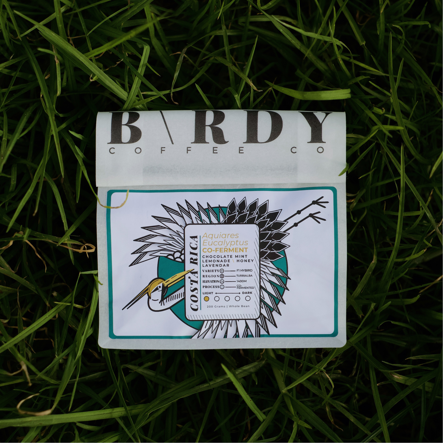 COSTA R\CA | Aquiares Eucalyptus Co-Ferment