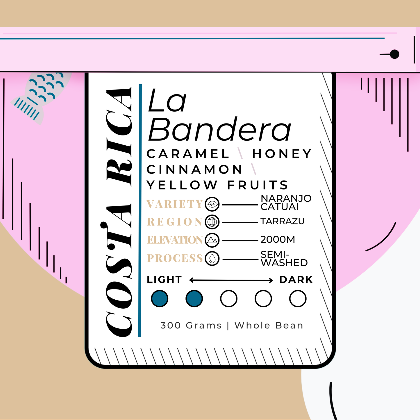 COSTA R\CA | La Bandera