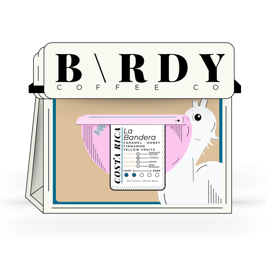 COSTA R\CA | La Bandera