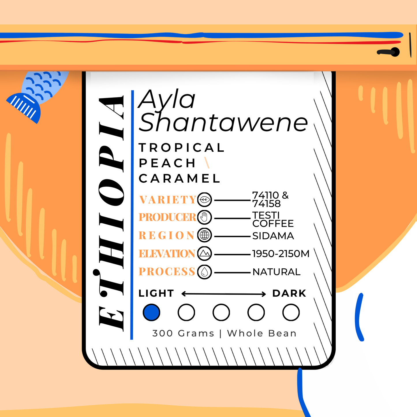 ETHIOP\A | Ayla Shantawene