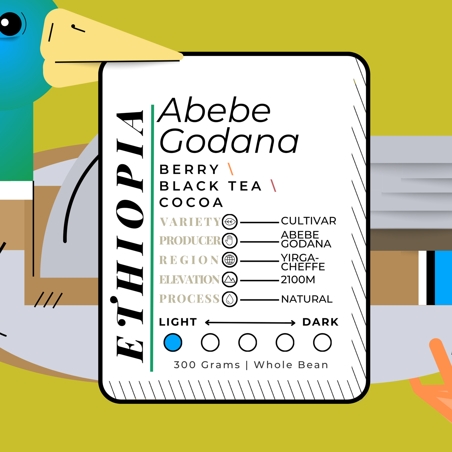 ETHIOP\A | Abebe Godana