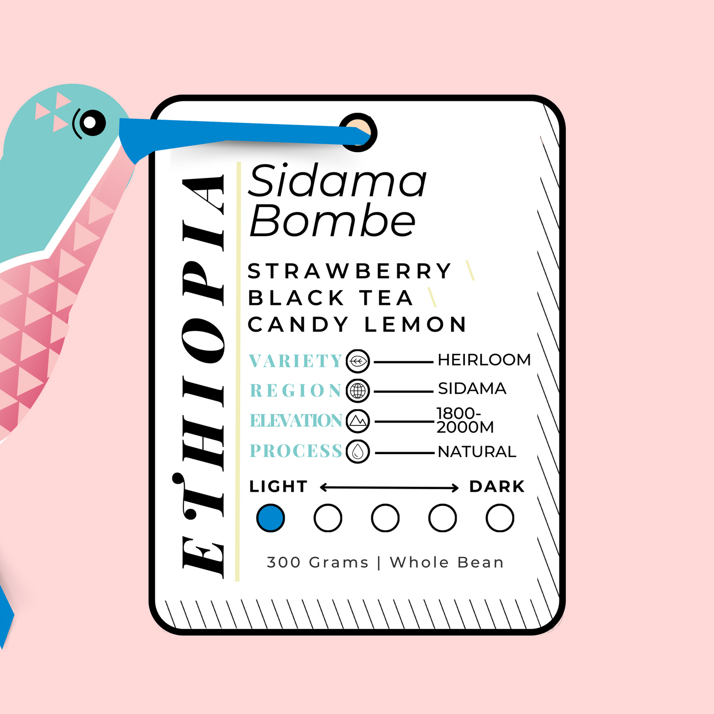 ETHIOP\A | Sidama Bombe