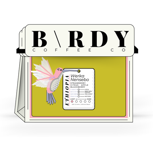 ETHIOP\A | Werka Nensebo