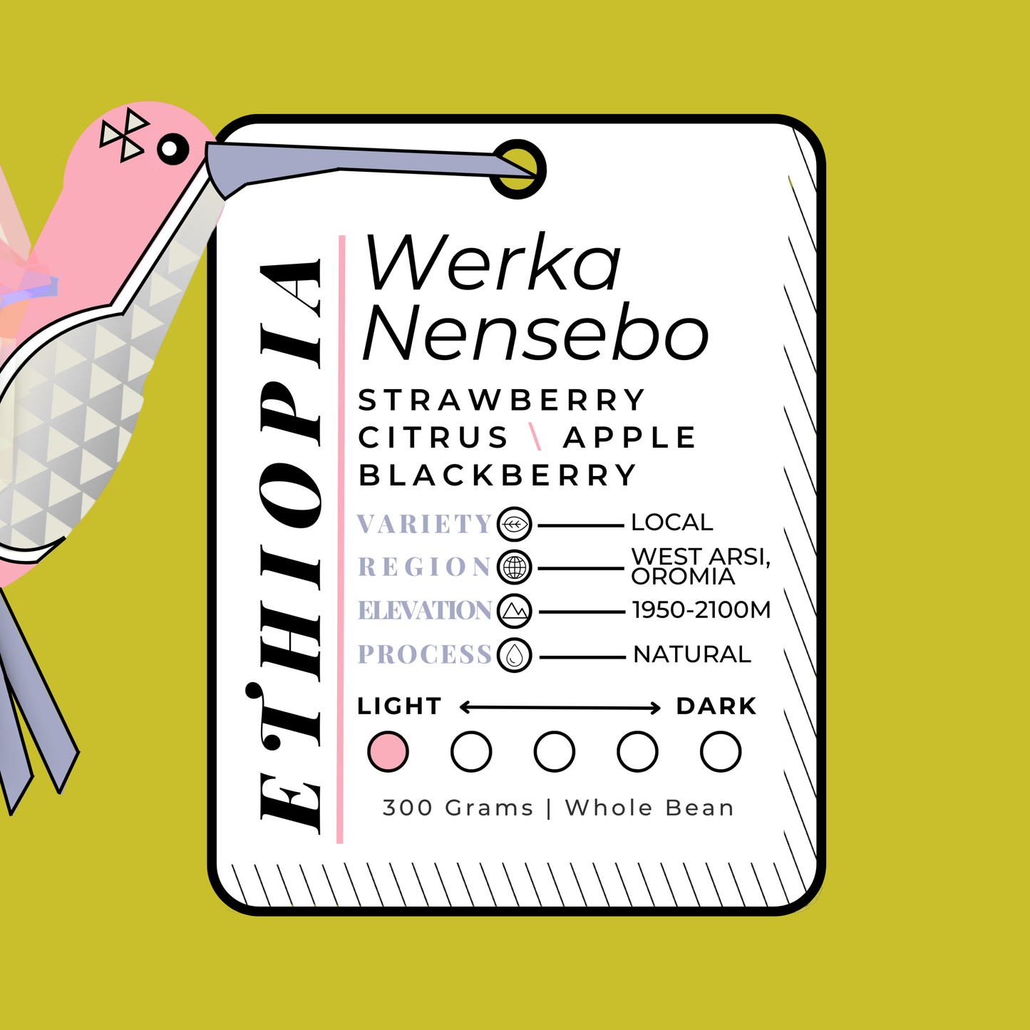 ETHIOP\A | Werka Nensebo