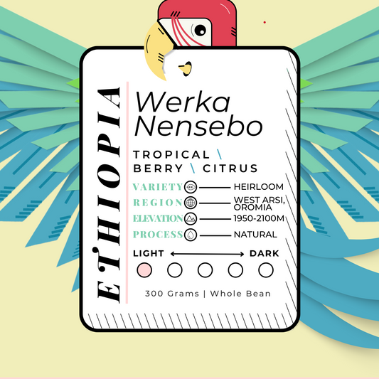 ETHIOP\A | Werka Nensebo