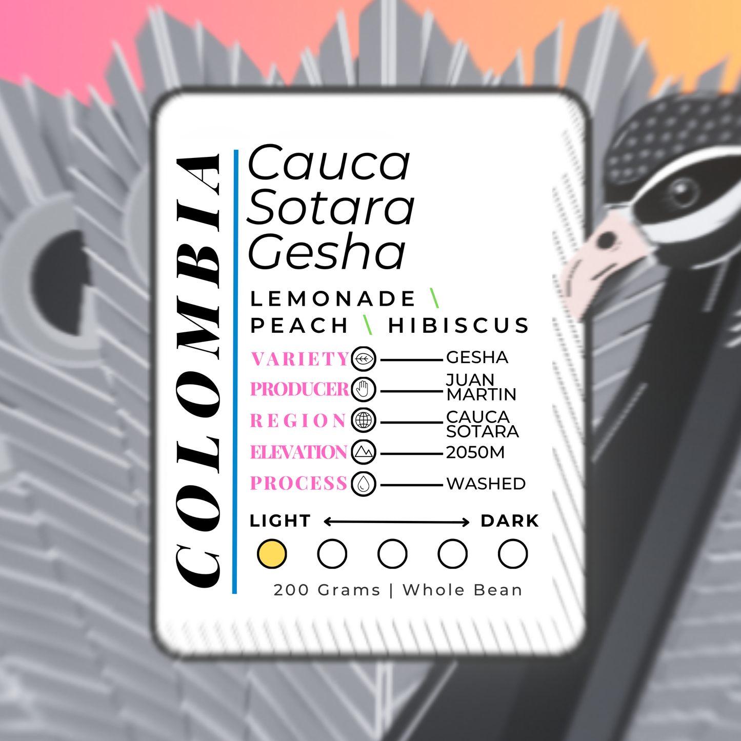 COLOMB\A | Cauca Sotara Gesha