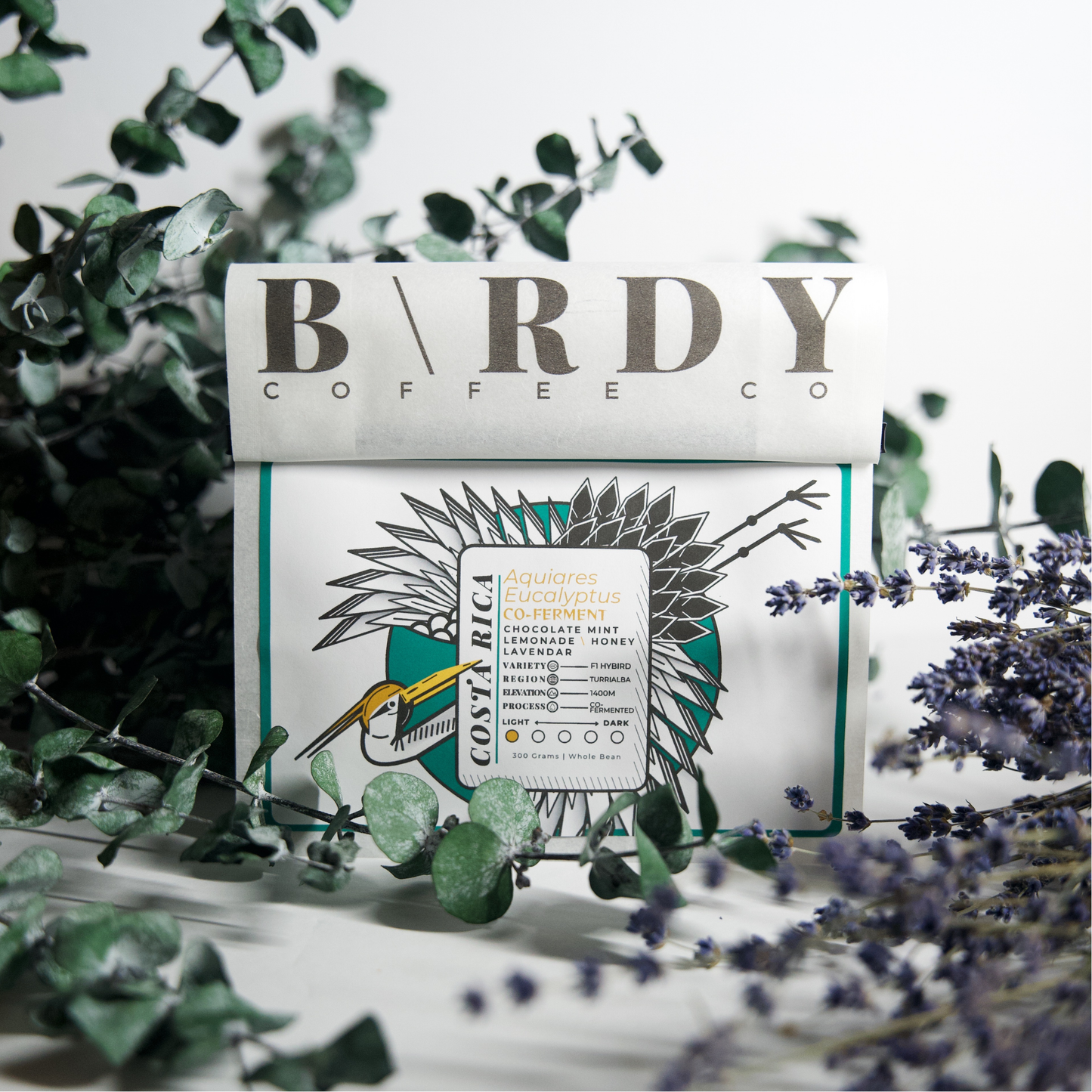 COSTA R\CA | Aquiares Eucalyptus Co-Ferment