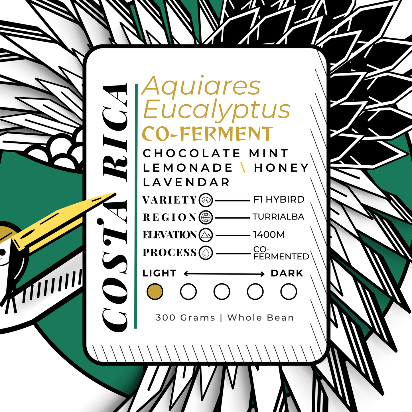 COSTA R\CA | Aquiares Eucalyptus Co-Ferment