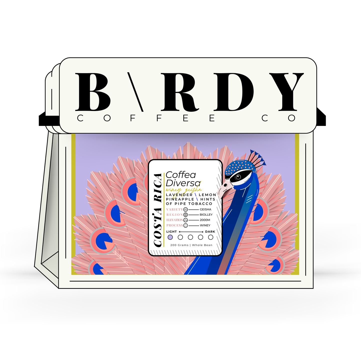 COSTA R\CA | Coffea Diversa Winey Geisha