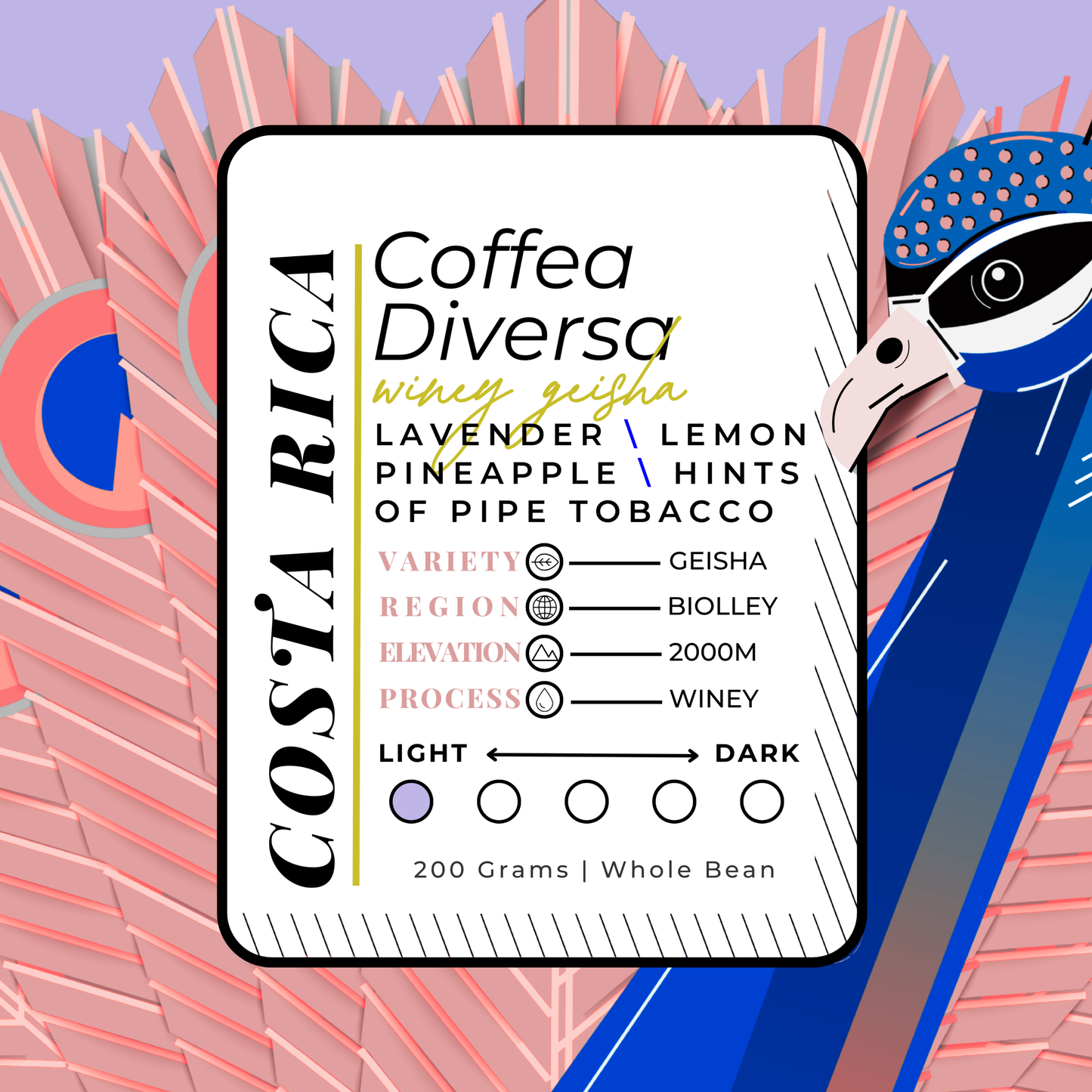COSTA R\CA | Coffea Diversa Winey Geisha