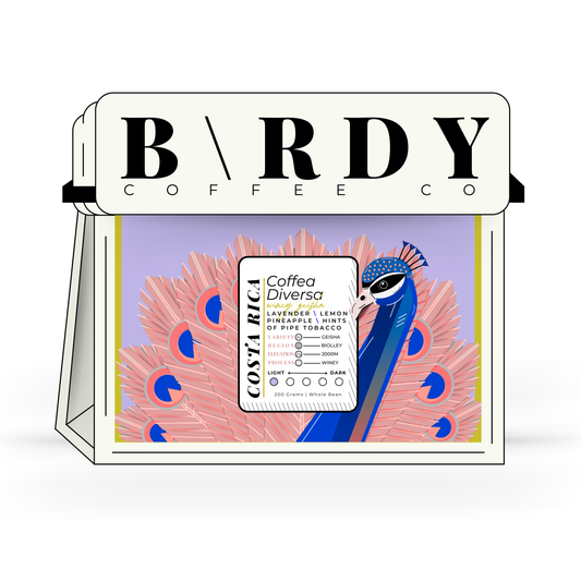 COSTA R\CA | Coffea Diversa Winey Geisha