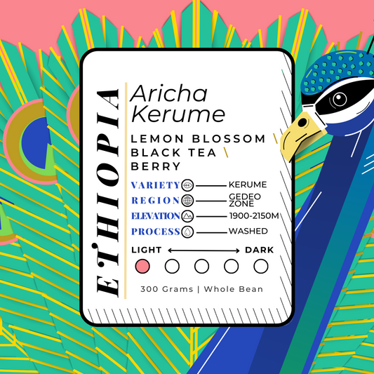 ETHIOP\A | Aricha Kerume