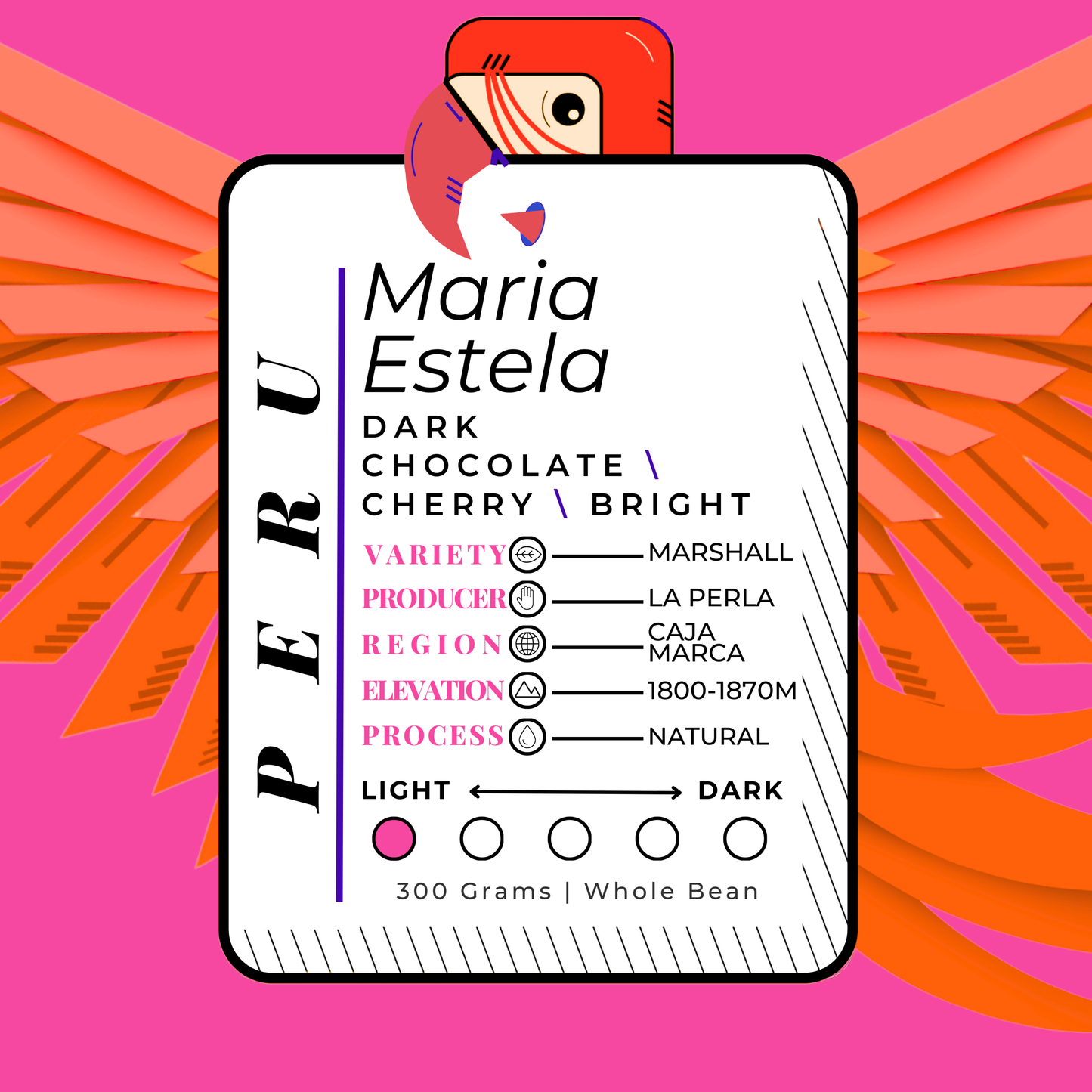 PERU | La Perla Maria Estela